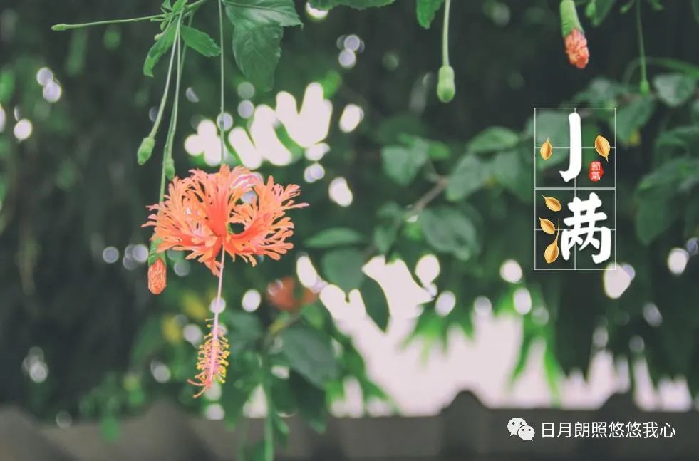 沧浪之水兮可以濯吾缨,沧浪之水浊兮可以濯我足