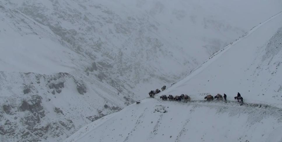 吉尔吉斯人：用100头羊换老婆，没羊男人只能孤独终老