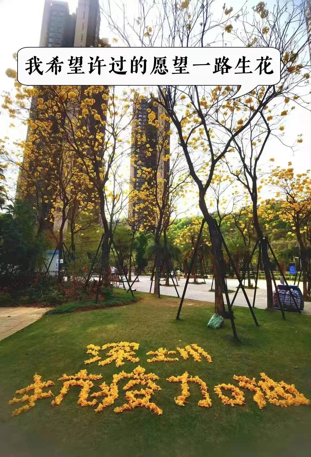 后疫情时代美业生存之道,后疫情时代美业是最好的副业