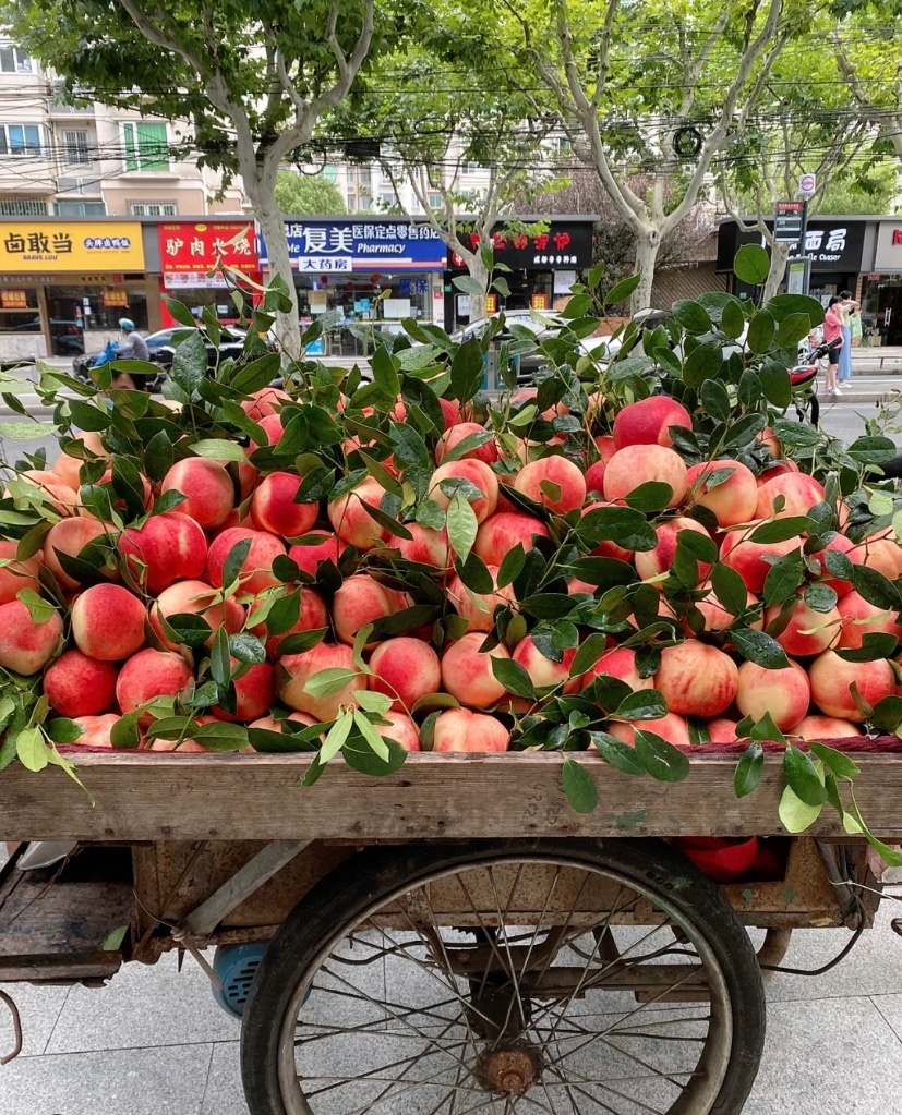 2022.9.12学习笔记