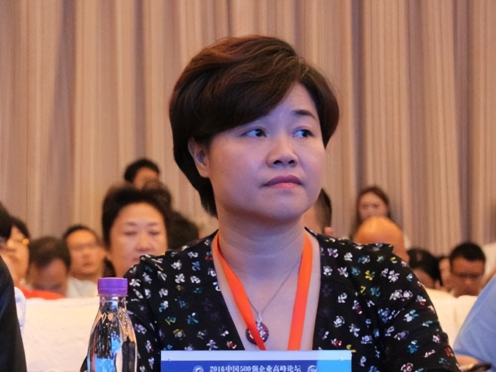 董明珠何雅玲,董明珠参观景津