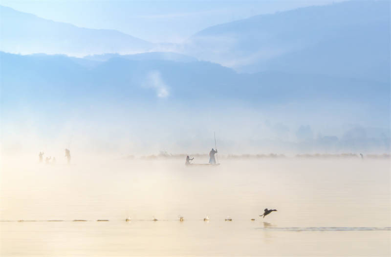 大理开启大理之旅,冬季的大理适合旅游吗