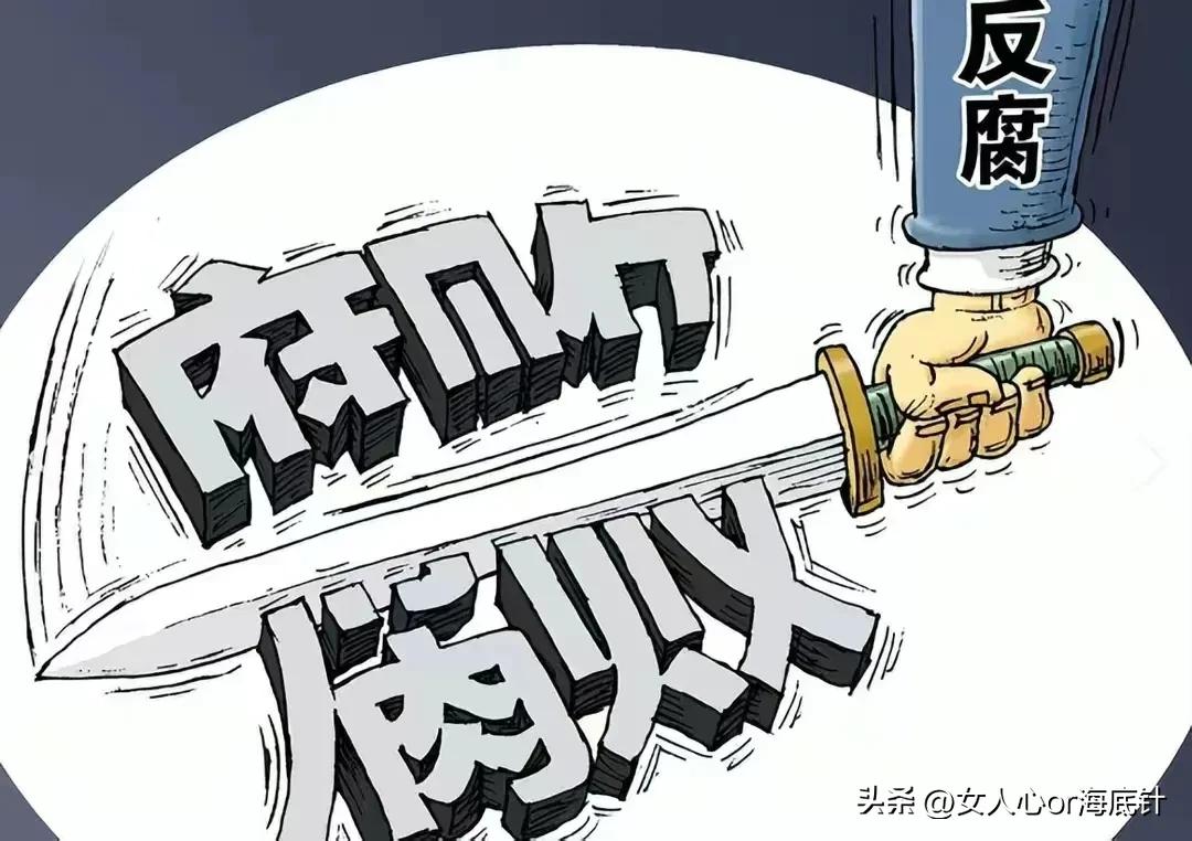 警花王菲案件最终结果,女警王菲哪一年入狱的