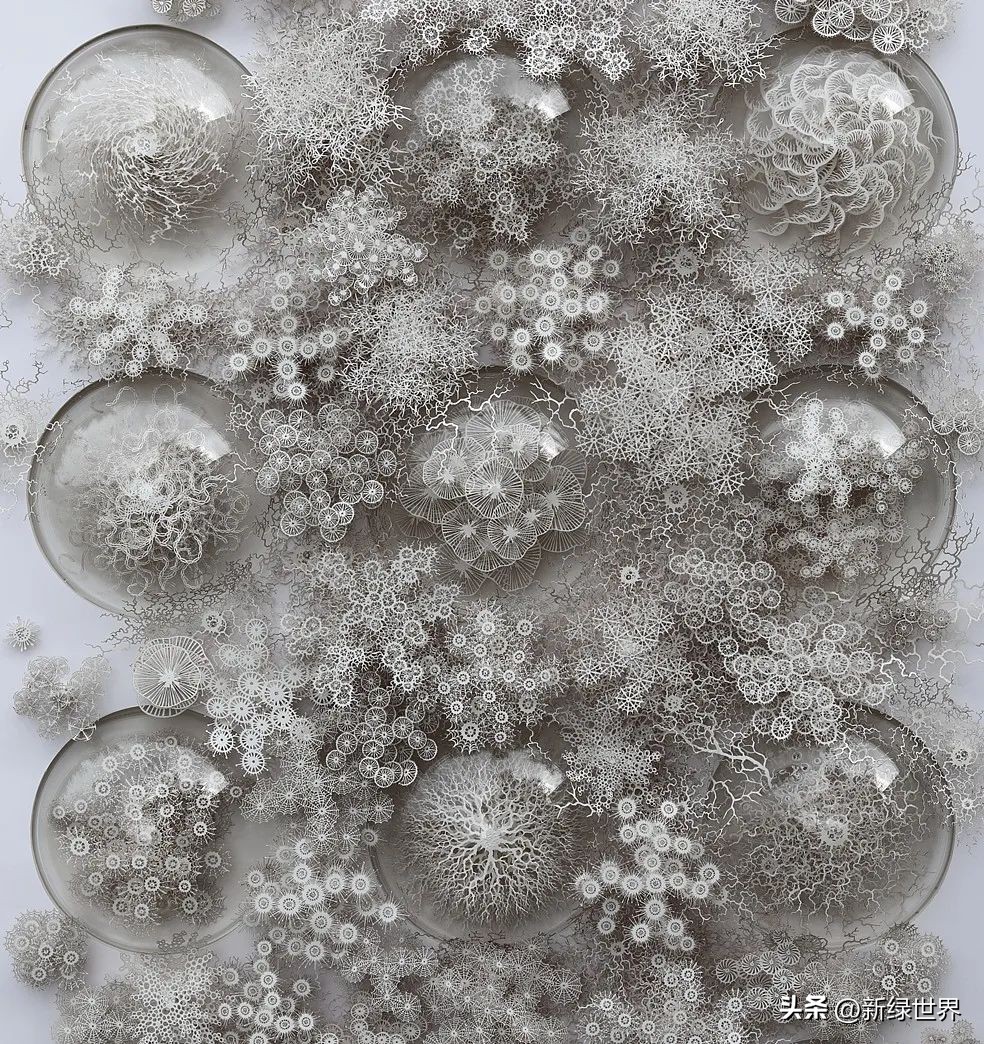 一组纸艺作品,令人惊艳的纸艺作品