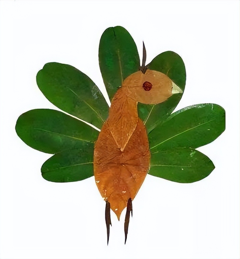 用落叶做一幅秋天的画,用水粉落叶做一幅秋天的画