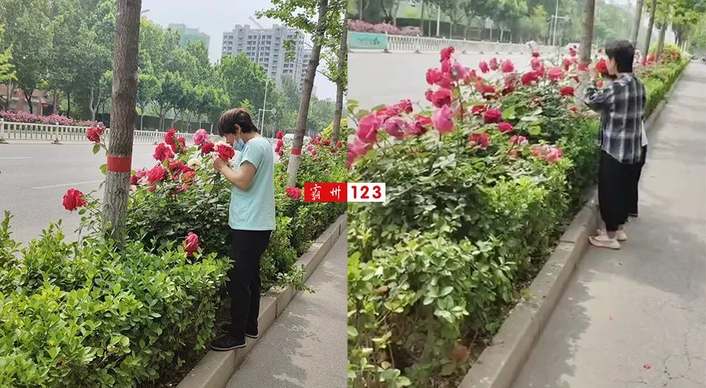 霸州美景,霸州风景如画