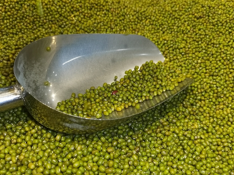 夏天喝绿豆汤怎么熬,夏天到了绿豆水怎么煮