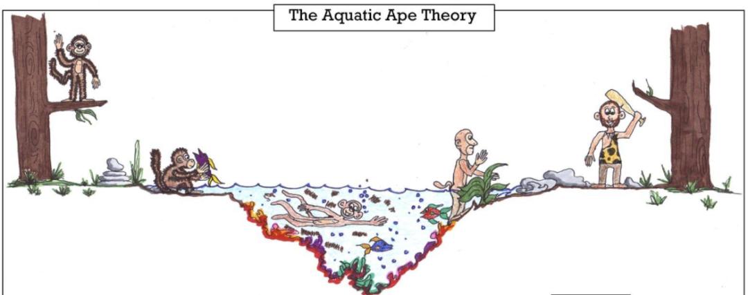 人类全身褪去毛发后，为何只留下了头发、阴毛和腋毛？忘记褪了？