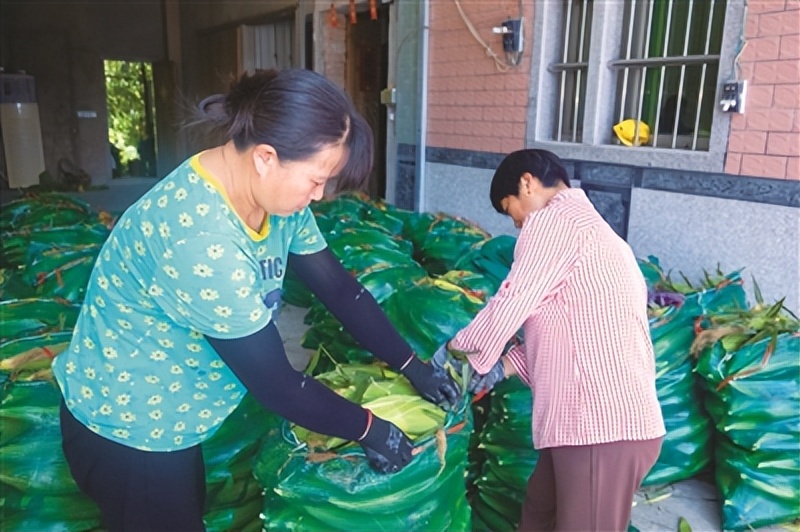 绉嶆鐢滅朝鐜夌背鍔╁姏涔℃潙鎸叴,鎾傝崚鍦扮浼樿川绋诲甫鍔ㄨ传鍥版埛澧炴敹