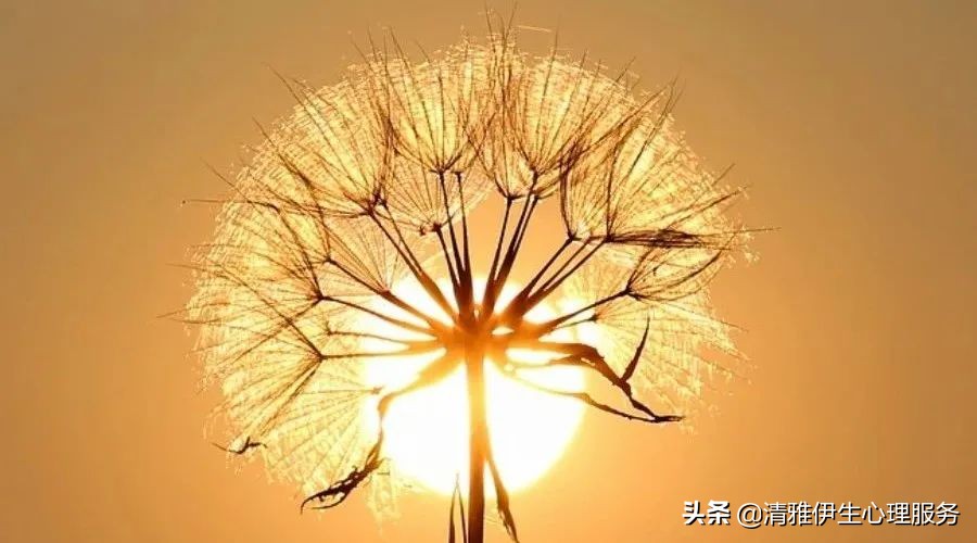 疗愈孩子心灵创伤的六句话,心理创伤如何彻底疗愈