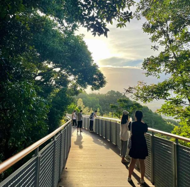 深圳绿色公园,深圳宝安值得去的公园