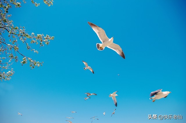 大连老虎滩,大连老虎滩和圣亚海洋馆哪个好