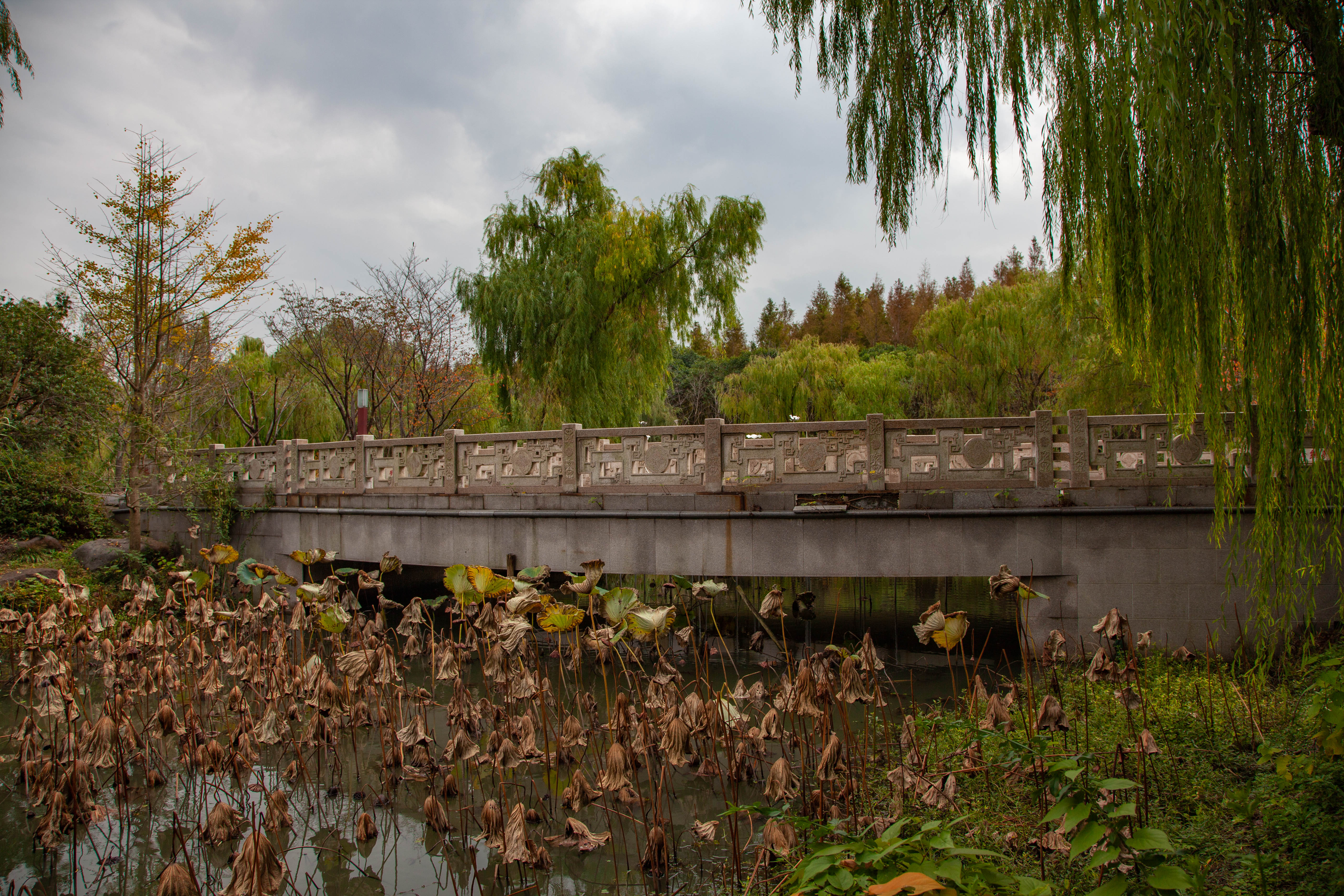 宝山顾村历史,上海宝山顾村老街