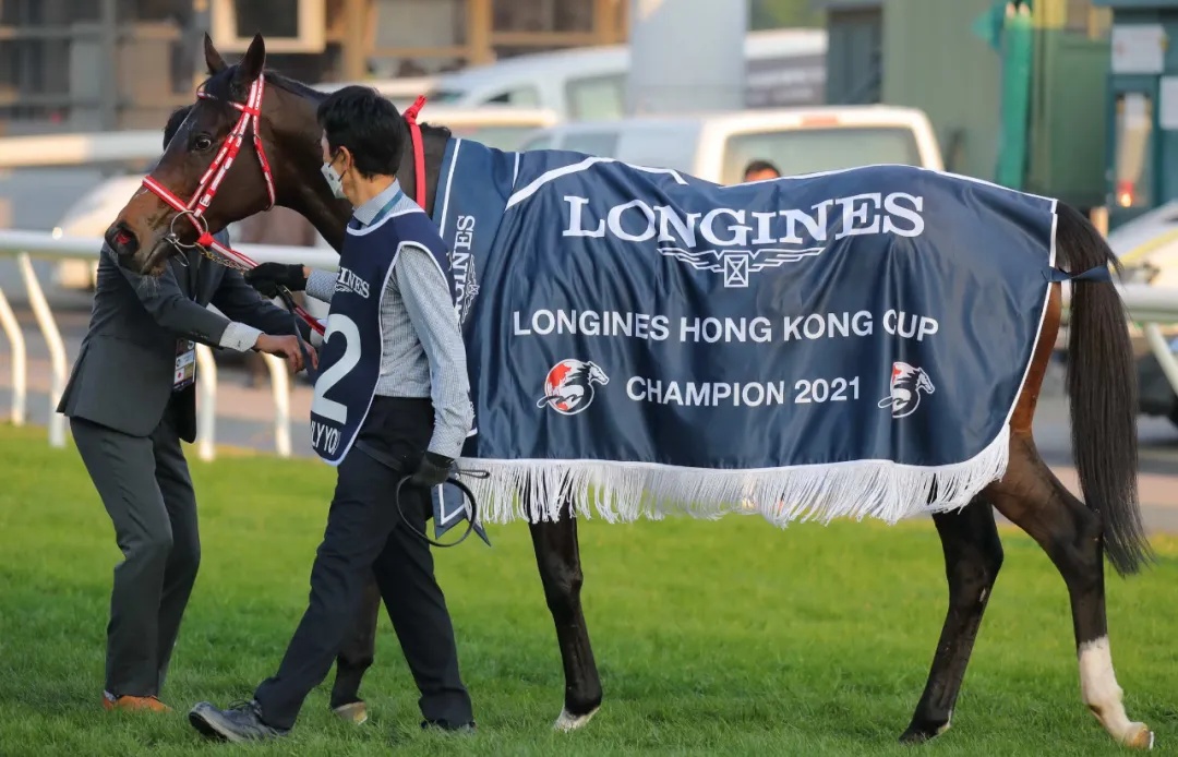 单日投注额17.28亿：1亿港元奖金香港国际赛事落幕