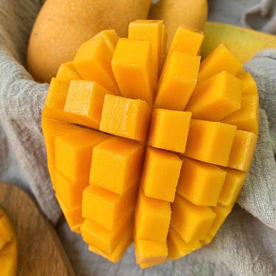 最好吃的芒果没有之一又甜又糯,广西芒果和海南芒果哪个好吃