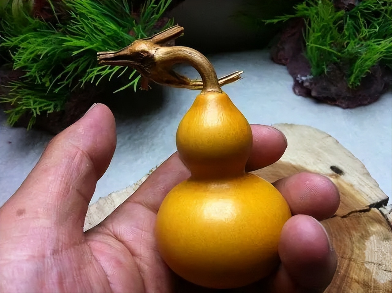 玩手捻葫芦,手捻葫芦多久包浆玉化