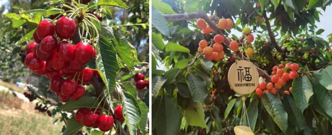 北京京杭大运河游玩攻略简介,北京大运河旅游线路推荐