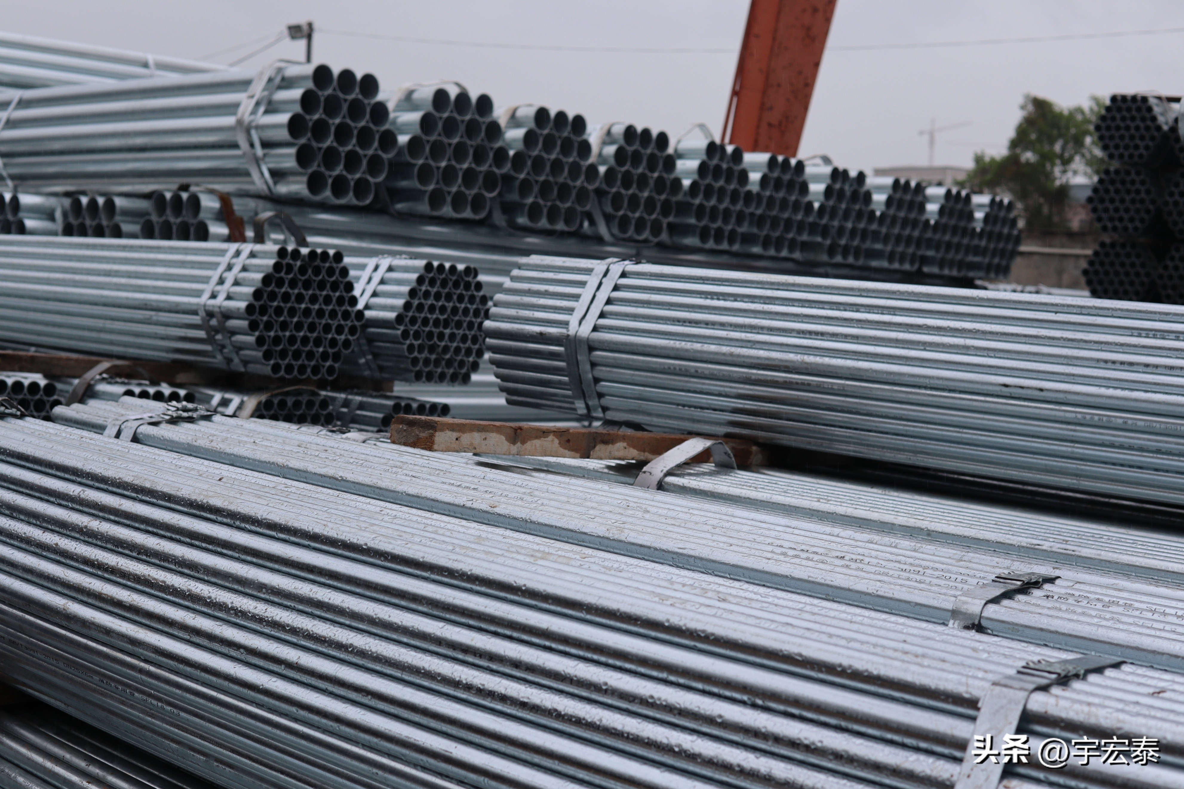 硅谷银行破产美金汇率,硅谷银行破产美元指数会大涨吗