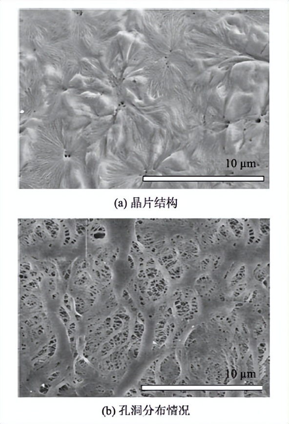 扫描电镜SEM分析流程,扫描电镜sem的缺陷及解决途径