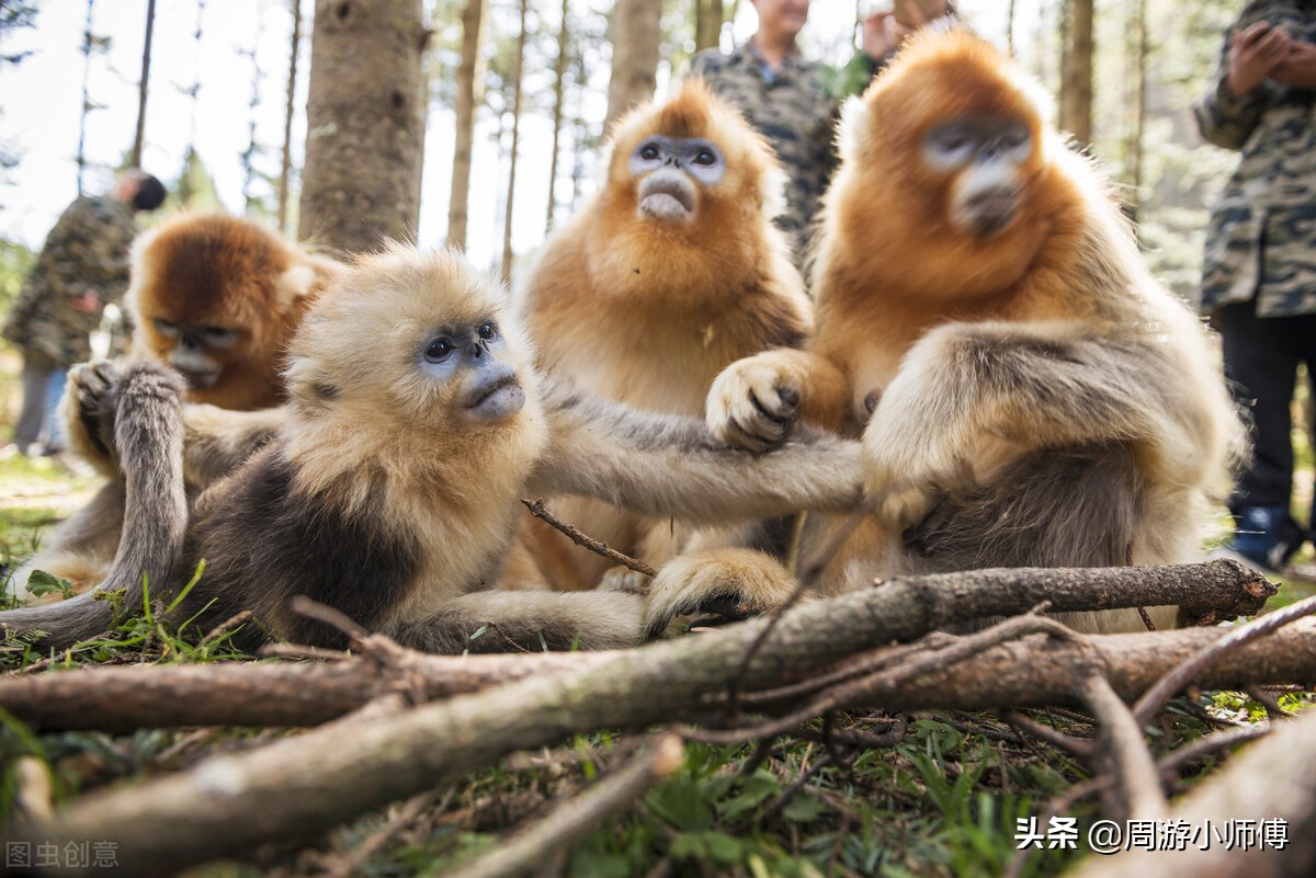 陕西环线自驾游攻略图,陕西自驾游3-5天最佳路线