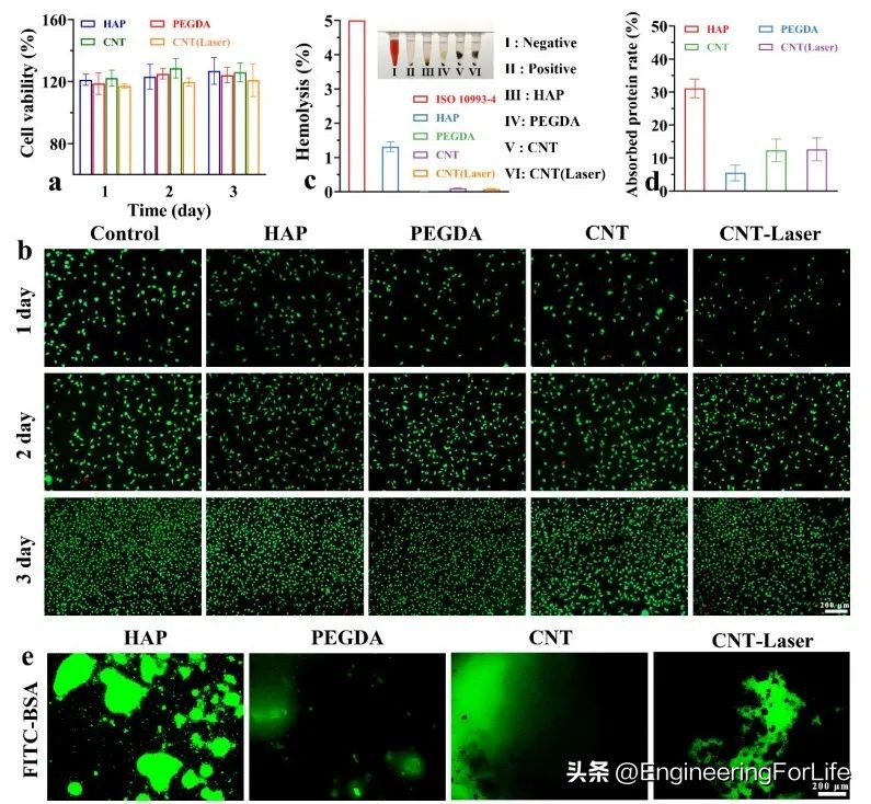 多功能修护水凝胶,水凝胶修复心脏