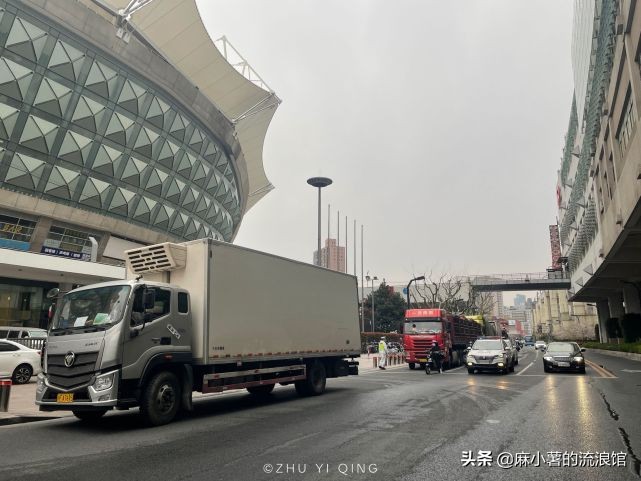 虹口足球场樱花,虹口足球场樱花开在什么地方