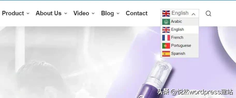 wordpress建站前设置,wordpress布局用什么插件建站