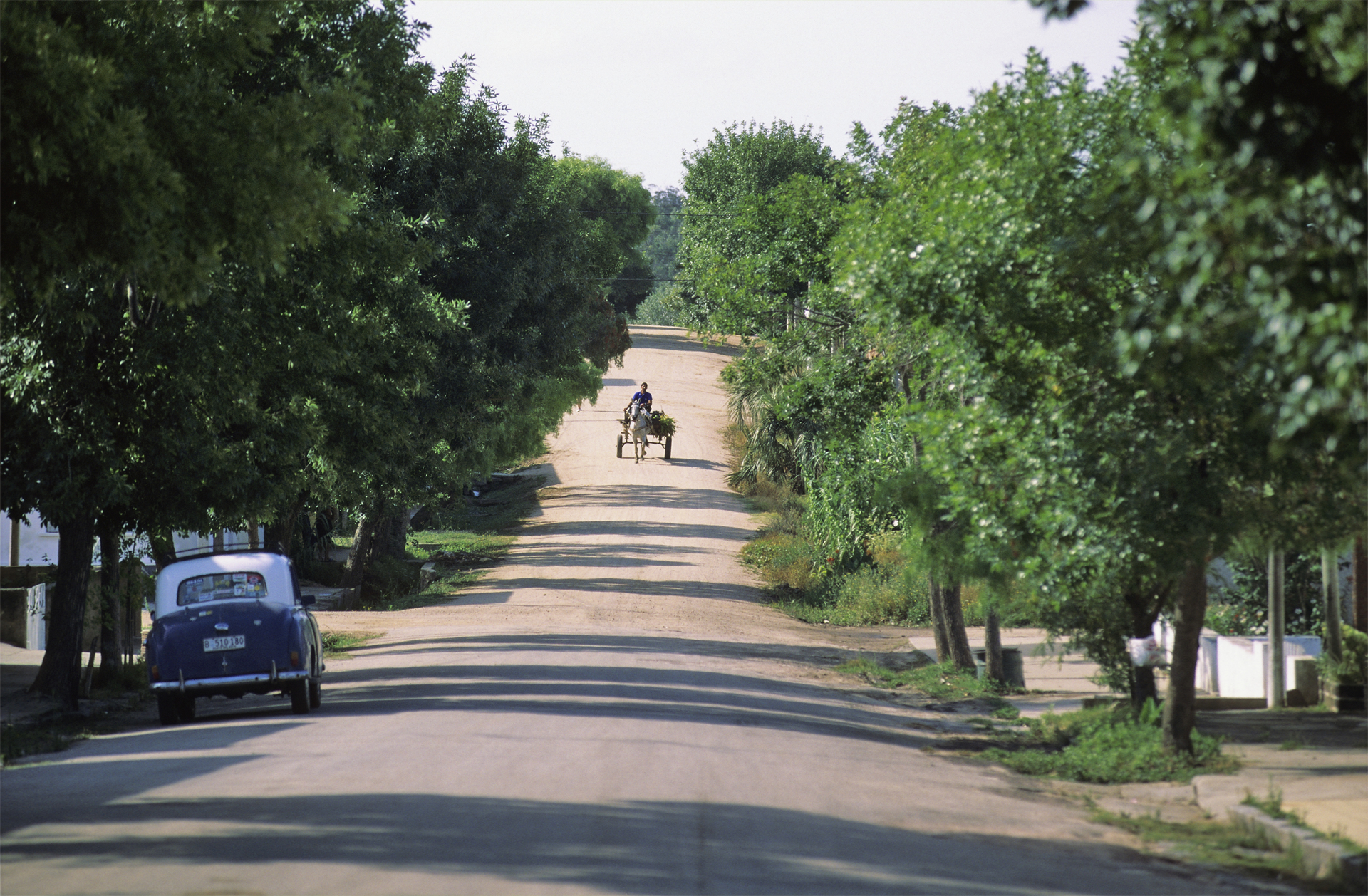 男足u20世界杯,u20世界杯男足