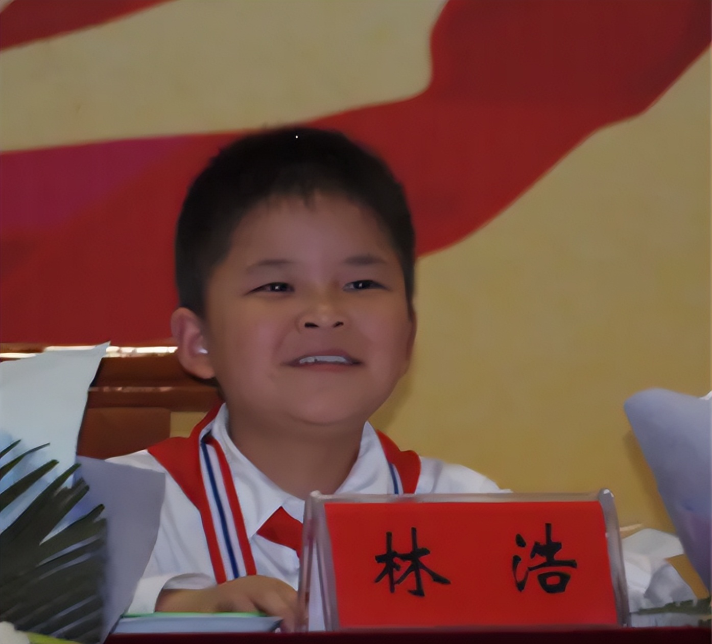 汶川地震中小男孩林浩现在怎么样,2008年汶川地震小英雄林浩今何在