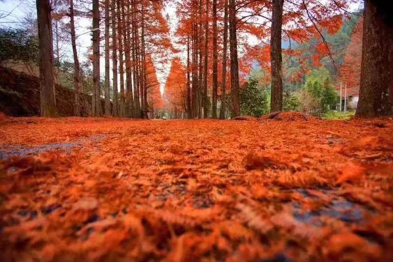 五一假期相约,五一相约一起嗨舞