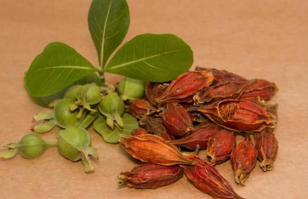 呕吐病机分析,呕吐的鉴别诊断指南