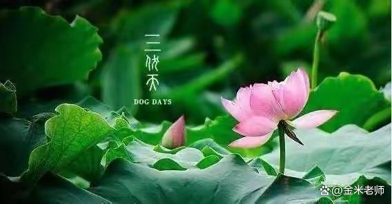 7月几号入伏今年伏天多少天,入伏为什么是7月11号起