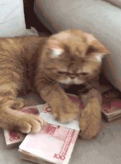 29岁的我如何年入百万