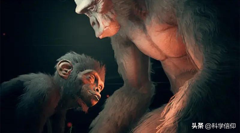 人类为什么要褪去全身毛发啊,人类褪去体毛为什么要穿衣服