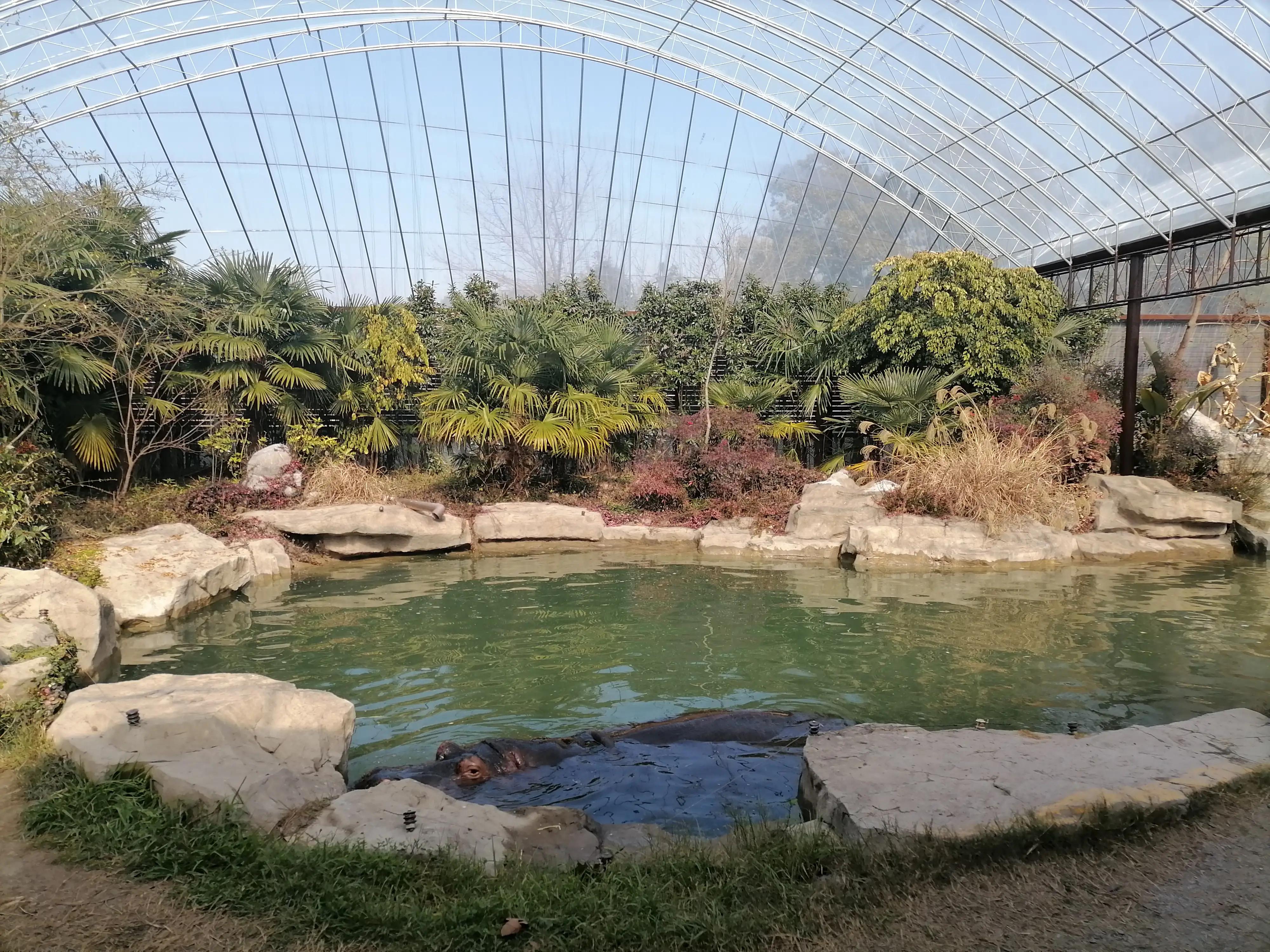 上海去大明山三日游,最新上海三日游攻略