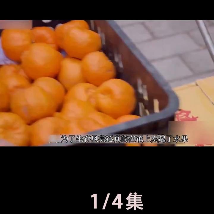 我的观影报告,我的观影报告31集完整版免费观看