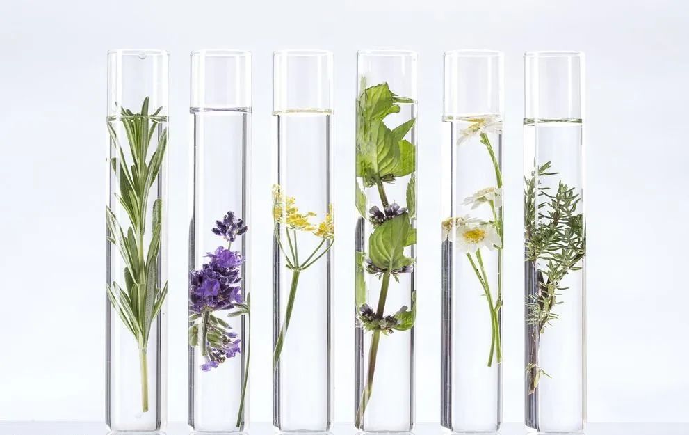 银离子抑菌免洗手凝胶,银离子免洗