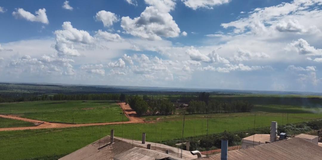 中粮国际海外有前途吗,中粮集团未来发展趋势