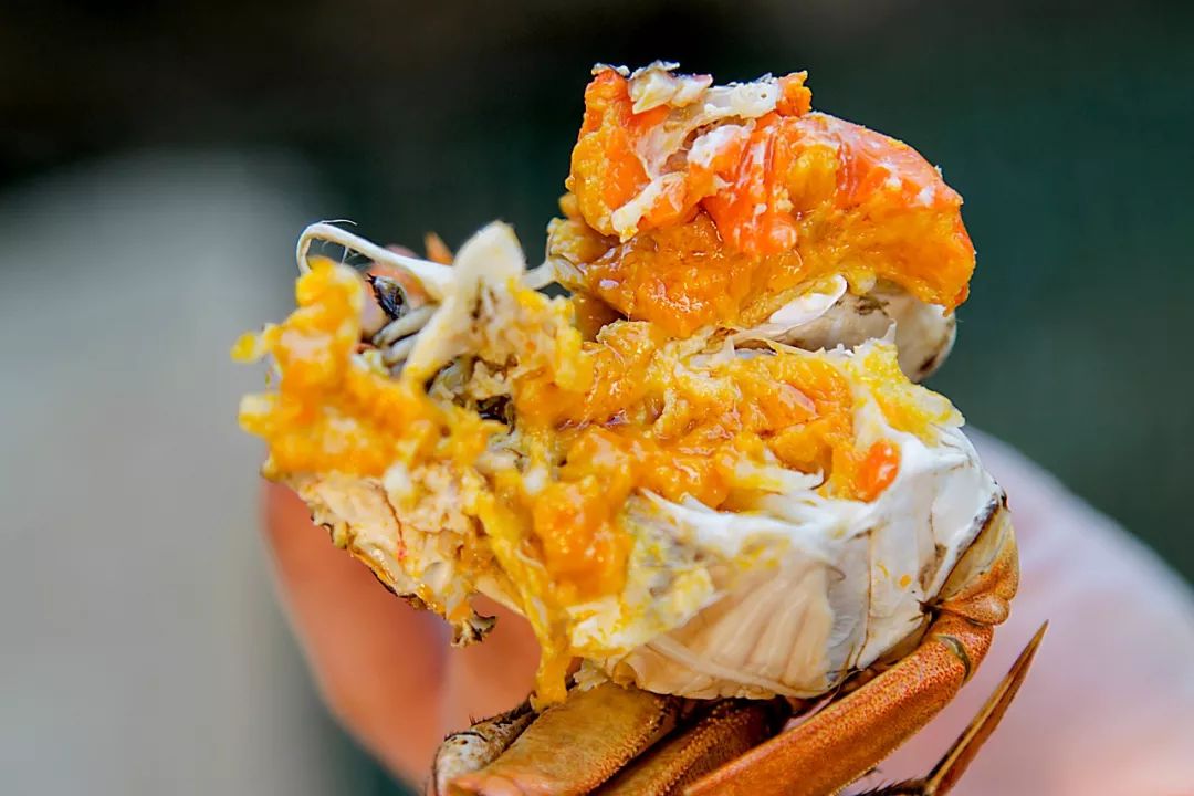 相约金秋“蟹”逅高淳|固城湖的“横行介士”来啦！