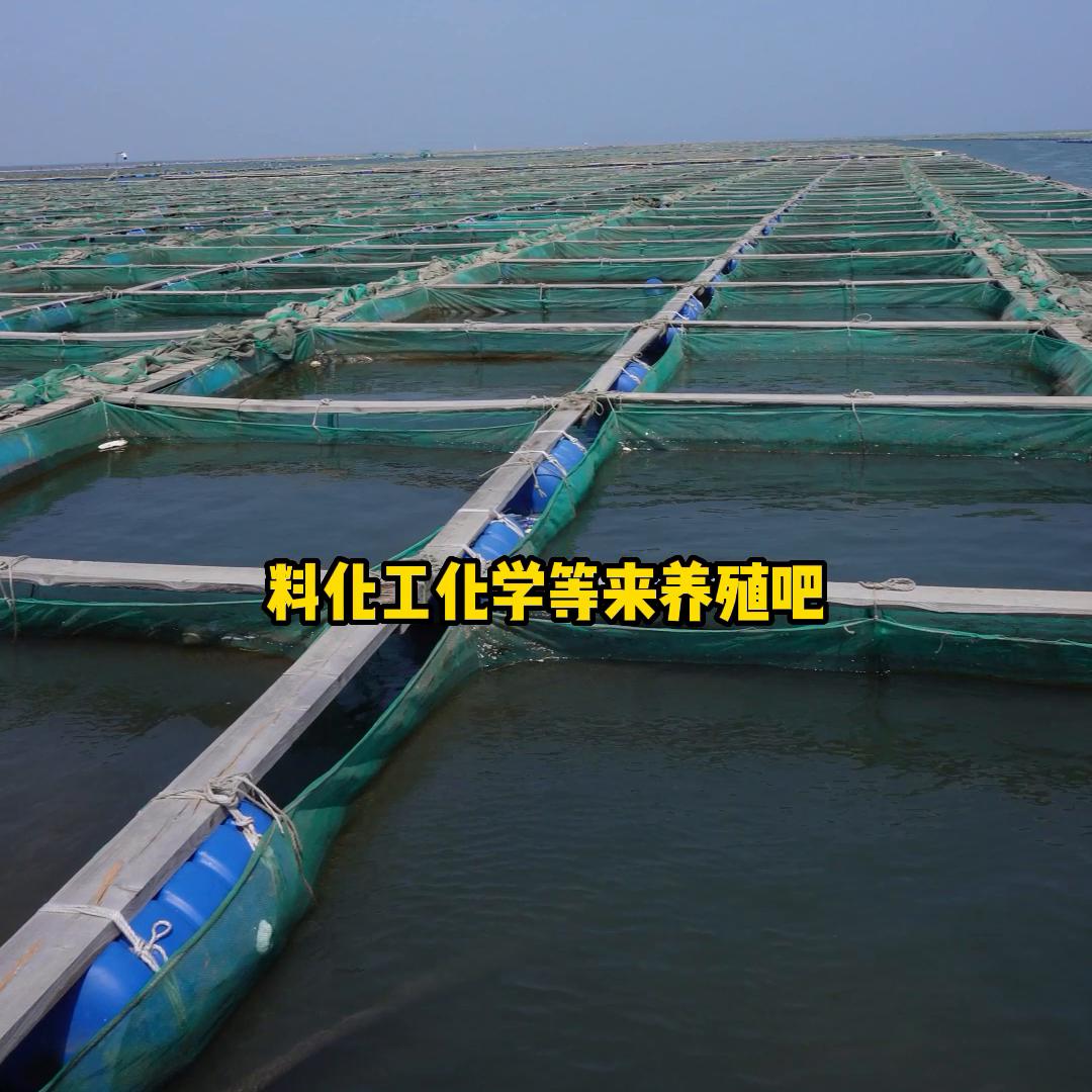 10元一根海参是真的吗,19.9的海参