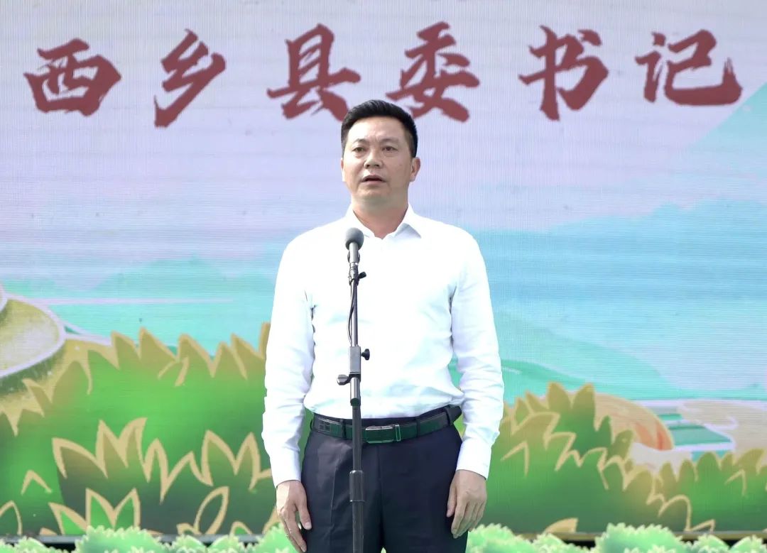 西乡县茶叶镇樱桃采摘,陕西汉中哪里可以摘樱桃