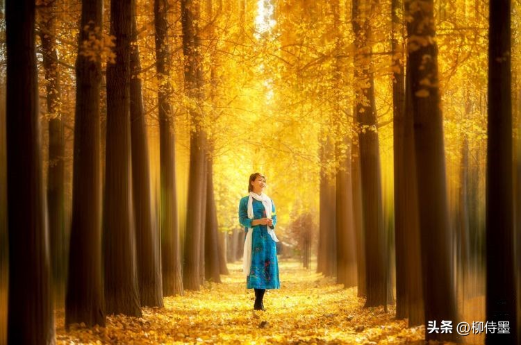 怎样练一个又瘦又长的大长腿,长腿影子如何拍得又瘦又高