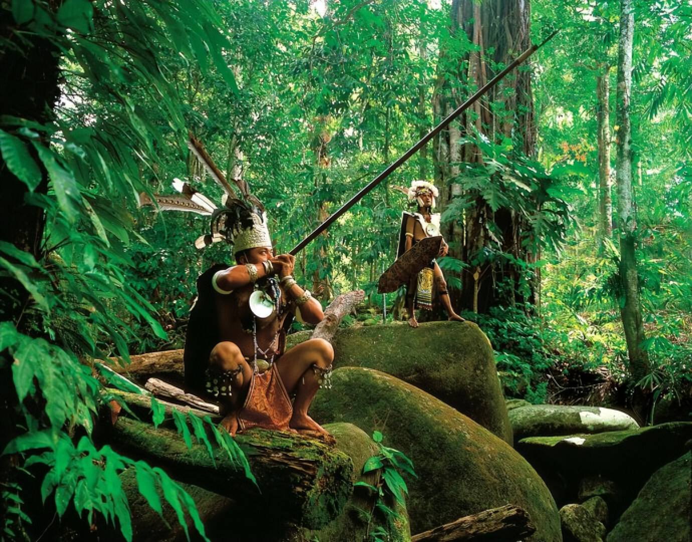 为什么人们不敢在亚马逊河游泳,亚马逊河究竟有多可怕为何没有桥