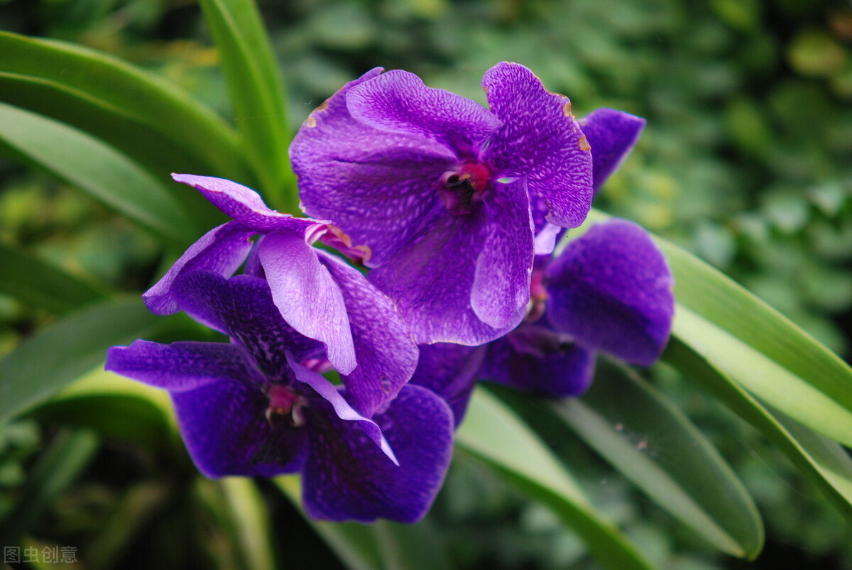 早安暖心治愈系心语语录