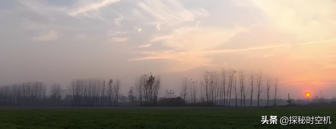 月圆之夜消失的少女：10天后麦田惊现女尸，24年后真相得以揭开
