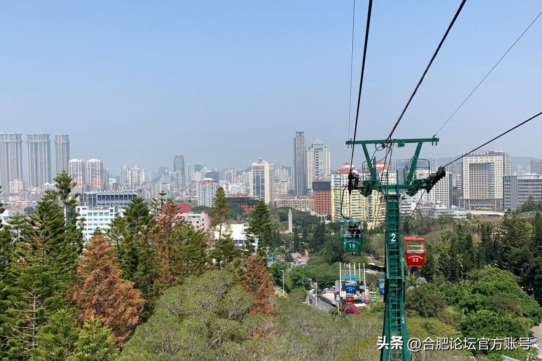 合肥市11月特价机票,特价机票来啦