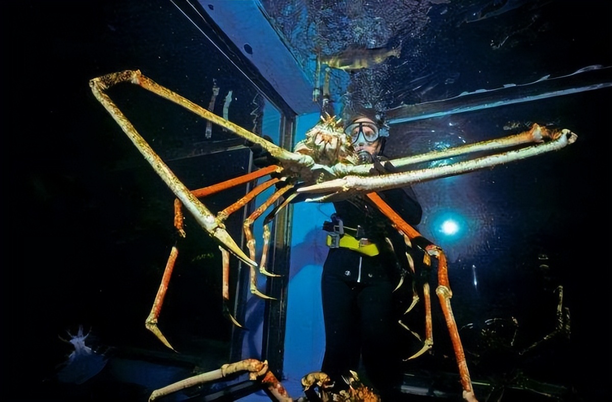 世界上长得最恐怖的生物长什么样,世界上最恐怖最罕见的生物