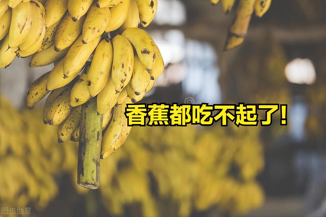 今天缅甸香蕉最新情况,缅甸香蕉滞销怎么解决