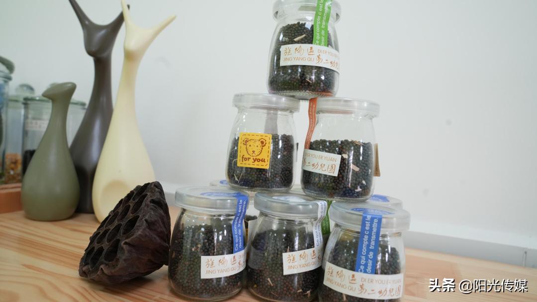 2024德阳公办幼儿园报名统计,德阳2024幼儿园招生信息一览表