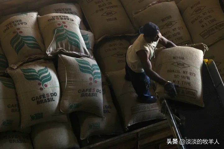 咖啡生豆出口重量行业标准